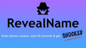 Google Voice / GV 归属地查询 / 美国号码归属地及运营商查询