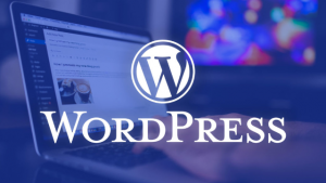 在WordPress中设置部分内容仅登录可见的方法