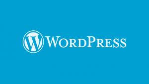 如何给 wordpress 网站上的图片加上边框